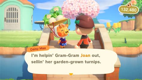 where to buy turnips in Animal Crossing: Exploring the Virtual Marketplace and its Economic Impact